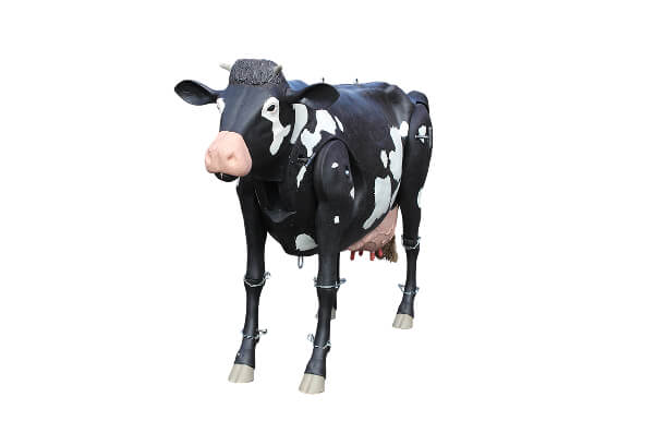 Cow Mannequin