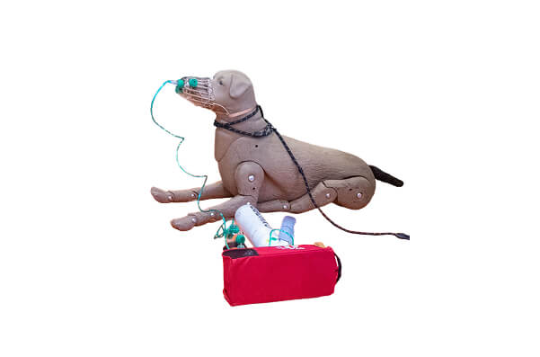 Dog Mannequin